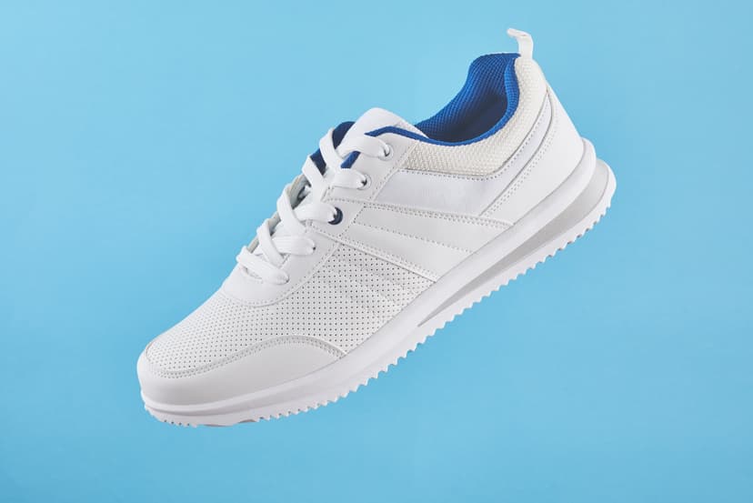 Basic trainers